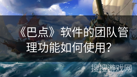 《巴点》软件的团队管理功能如何使用？