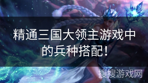 精通三国大领主游戏中的兵种搭配! 精通三国大领主游戏中的兵种搭配!