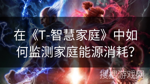 在《T-智慧家庭》中如何监测家庭能源消耗？