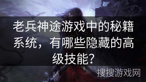 老兵神途游戏中的秘籍系统，有哪些隐藏的高级技能？