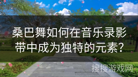 桑巴舞如何在音乐录影带中成为独特的元素？