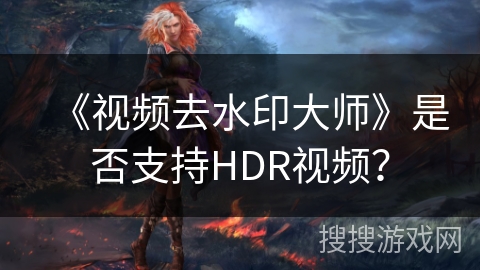 《视频去水印大师》是否支持HDR视频？