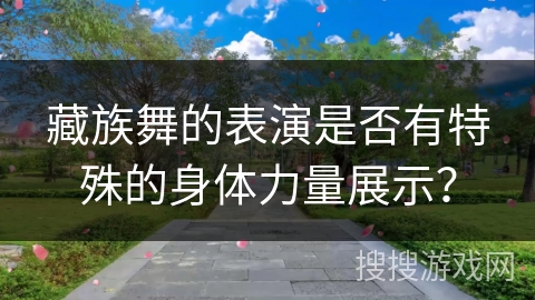藏族舞的表演是否有特殊的身体力量展示？