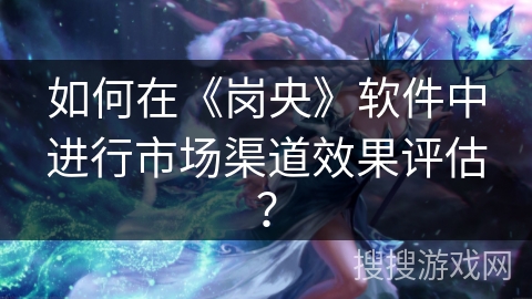 如何在《岗央》软件中进行市场渠道效果评估？