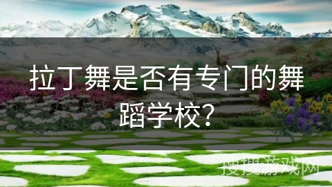 拉丁舞是否有专门的舞蹈学校？