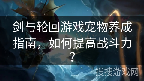 剑与轮回游戏宠物养成指南，如何提高战斗力？