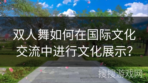双人舞如何在国际文化交流中进行文化展示？