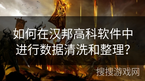 如何在汉邦高科软件中进行数据清洗和整理？