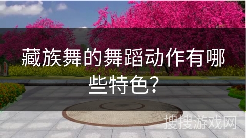 藏族舞的舞蹈动作有哪些特色？