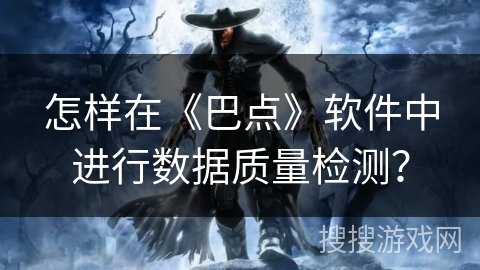 怎样在《巴点》软件中进行数据质量检测？
