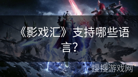 《影戏汇》支持哪些语言？