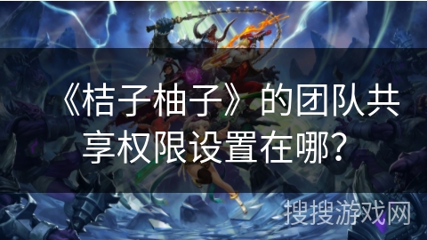 《桔子柚子》的团队共享权限设置在哪？