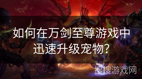 如何在万剑至尊游戏中迅速升级宠物？