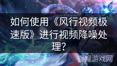 如何使用《风行视频极速版》进行视频降噪处理？
