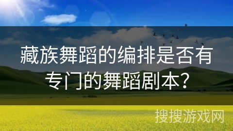 藏族舞蹈的编排是否有专门的舞蹈剧本？