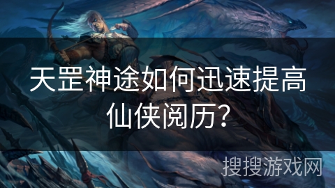 天罡神途如何迅速提高仙侠阅历？