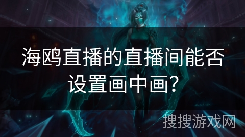 海鸥直播的直播间能否设置画中画？