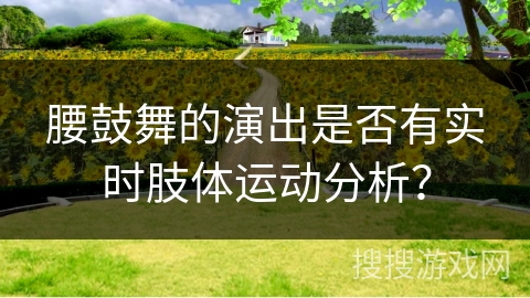 腰鼓舞的演出是否有实时肢体运动分析？
