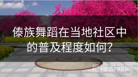 傣族舞蹈在当地社区中的普及程度如何？