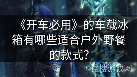 《开车必用》的车载冰箱有哪些适合户外野餐的款式？