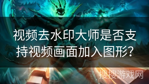 视频去水印大师是否支持视频画面加入图形？