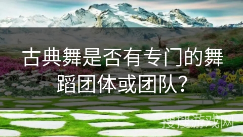 古典舞是否有专门的舞蹈团体或团队？