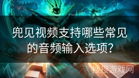 兜见视频支持哪些常见的音频输入选项？