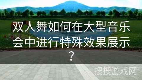 双人舞如何在大型音乐会中进行特殊效果展示？