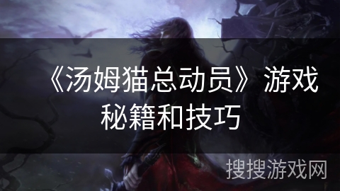 《汤姆猫总动员》游戏秘籍和技巧