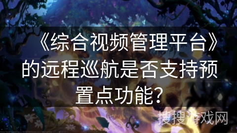 《综合视频管理平台》的远程巡航是否支持预置点功能？