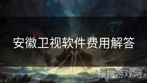 安徽卫视软件费用解答