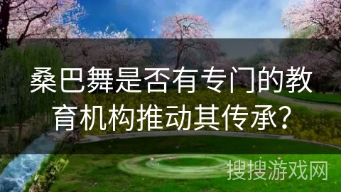 桑巴舞是否有专门的教育机构推动其传承？