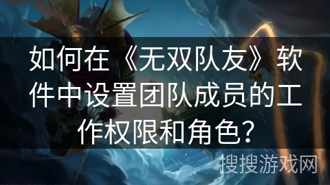 如何在《无双队友》软件中设置团队成员的工作权限和角色？