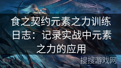 食之契约元素之力训练日志：记录实战中元素之力的应用