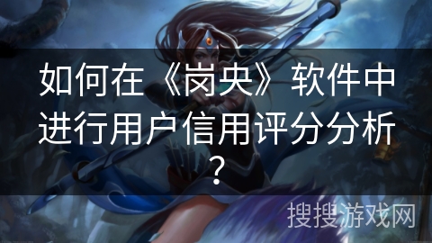 如何在《岗央》软件中进行用户信用评分分析？
