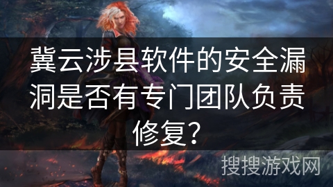 冀云涉县软件的安全漏洞是否有专门团队负责修复？