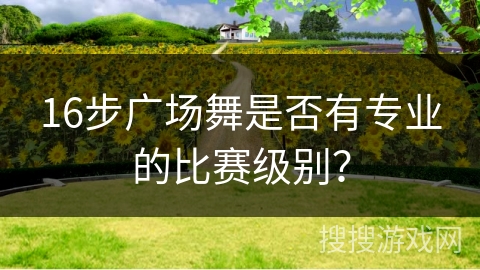 16步广场舞是否有专业的比赛级别？