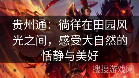 贵州通：徜徉在田园风光之间，感受大自然的恬静与美好