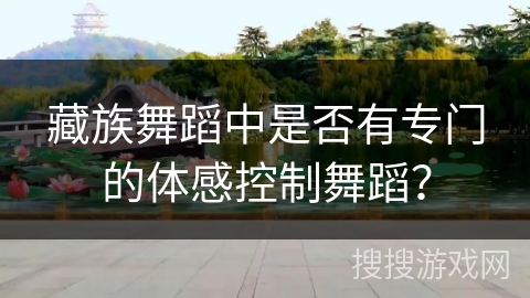 藏族舞蹈中是否有专门的体感控制舞蹈？