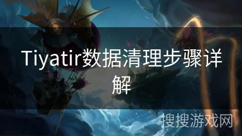 Tiyatir数据清理步骤详解