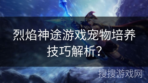 烈焰神途游戏宠物培养技巧解析？