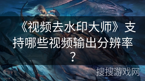 《视频去水印大师》支持哪些视频输出分辨率？