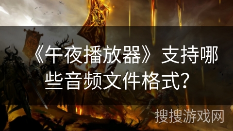《午夜播放器》支持哪些音频文件格式? 《午夜播放器》支持哪些音频文件格式?