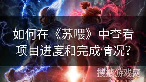 如何在《苏喂》中查看项目进度和完成情况？