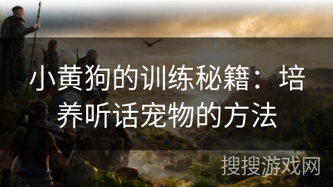 小黄狗的训练秘籍：培养听话宠物的方法