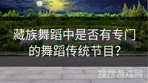 藏族舞蹈中是否有专门的舞蹈传统节目？