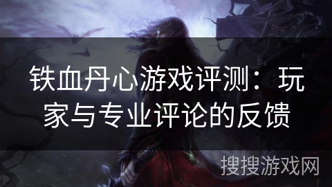 铁血丹心游戏评测：玩家与专业评论的反馈