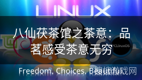 八仙茯茶馆之茶意：品茗感受茶意无穷