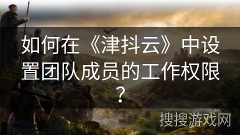 如何在《津抖云》中设置团队成员的工作权限？