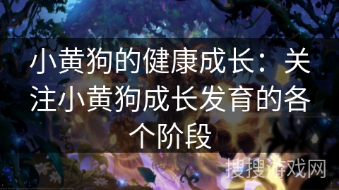 小黄狗的健康成长：关注小黄狗成长发育的各个阶段